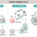 새하나의원 이미지