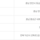 포유25시 이미지