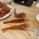독도주차장 | 울릉도 가성비 독도새우 맛집 천금회수산 내돈내산 후기