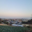 장동목장 이미지