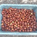 하울농장 이미지