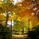 금광농원 이미지