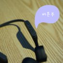 파파네트웍스