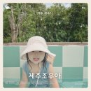 제주조우아조수 이미지