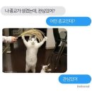 해가 이미지