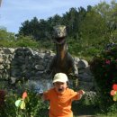 제주후니네 이미지