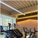 브로피트니스 이미지