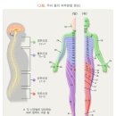 서울성모마취통증의학과의원 이미지
