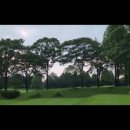 Golf, My Story-구마모토 여정 8일, 나뭇잎 사이로 이미지