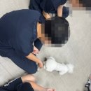 효정중학교 이미지