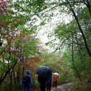 둘레길펜션 이미지