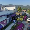 도감어가 | 거창 도감어가 생선구이 한상, 공휴일 웨이팅하고 먹은 솔직 후기(내돈내산)