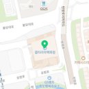 갤러리아센터시티뉴발란스키즈