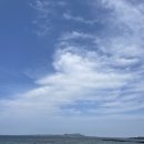 새싹마을마당 이미지