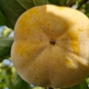 병영농장 이미지