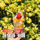 장미찻집 | 여수 목향장미 만개 핫플 아델라카페 방문 솔직후기 봄꽃 명소 추천