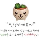 관용인테리어 이미지
