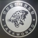 안산힘찬태권도장 네이버블로그