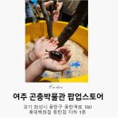 여주곤충박물관 팝업 방문 후기(롯데백화점 동탄점)🦋