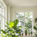 나만의 플랜테리어 이미지