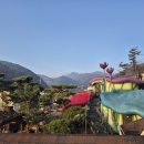 비피펜션 이미지