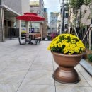 메디컬데이 이미지