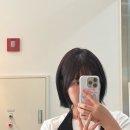 아미블헤어