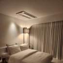 조이펜션 | 제주도 동쪽 펜션 추천 커플 기념일로 좋은 조식포함 자쿠지 숙소 스마일앤조이펜션 내돈내산 후기