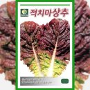 씨앗