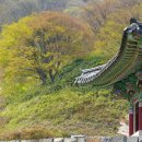 허브농원 이미지