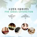 타이마사지 베이직