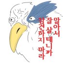 아방스 이미지