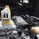 골드모터스 이미지