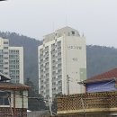 운수대통부동산중개 이미지