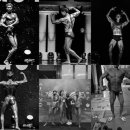 마이그짐 이미지