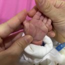 문정로-9 | 대전 탄방동 “미즈산후조리원” 9박10일 이용후기