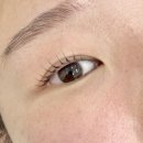 중앙빌딩 | 경기 안양 오아즈 | 평촌중앙공원 쌍둥이빌딩 범계 속눈썹펌 뷰티샵 후기