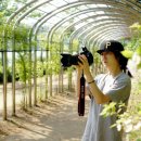 요가쏘울 이미지