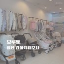 탄중로 | 온누리상품권 되는 일산강아지유모차 매장 모루뽀, 유모차가드 악세서리 후기