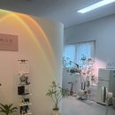 센티스킨 | 바디결 대전 하체부종 관리로 코끼리 다리 탈출하고 온 솔직 후기 (feat. 대전 바디관리)
