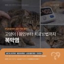 심동물병원 이미지