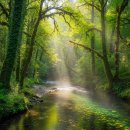 [일일특강] 5/16 생활속 탄소중립-그린라이프 실천교육 | 기후행동퀴즈정답 11월13일, 14일 퀴즈로 배우는 친환경!