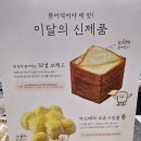 뚜레쥬르 가을 신상 &lt;한알씩 뜯어먹는 카스테라 우유크림볼&gt; 내돈내산 후기😋