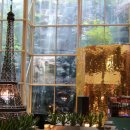 현이양이 이미지