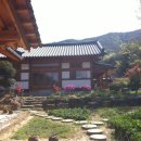 사랑의손효소마을