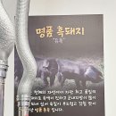 또또네식탁 | 가성비 수원 망포 삼겹살 맛집 할매솥뚜껑삼겹살 회식 모임
