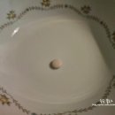 한보카써비스 이미지