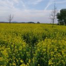 부여원예영농조합 이미지