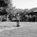 쉬자트리하우스 이미지