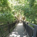 홍릉초교 이미지